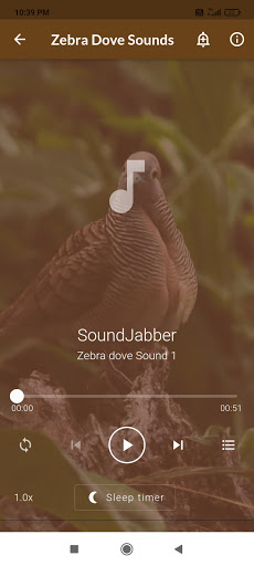 Zebra Dove Sounds Screen 2