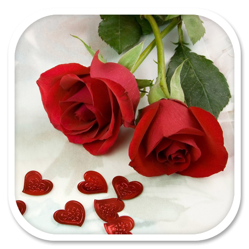 Rose Wallpapers Header - AppWisp.com