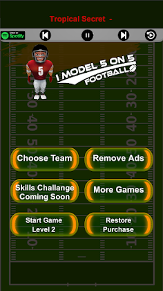 IModel 5 on 5 FootBall - Screenshot 1