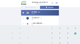 screenshot of Forex currency converter