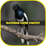 Cover Image of ダウンロード Masteran Kacer Dahsyat Offline 1.8 APK
