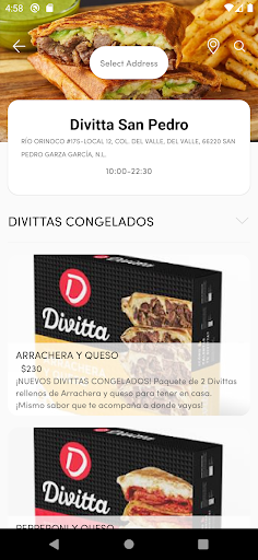 Divitta Screen 3