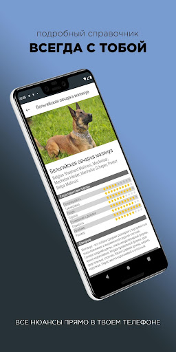 Pets – Описание пород собак Screen 3