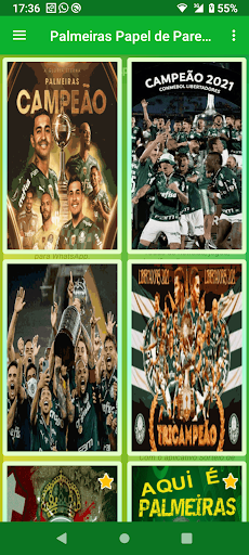 Palmeiras Papel de Parede Screen 2