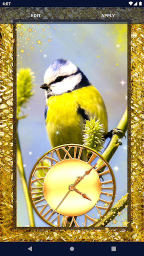 Bird Parrots HD Live Wallpaper Screen 3