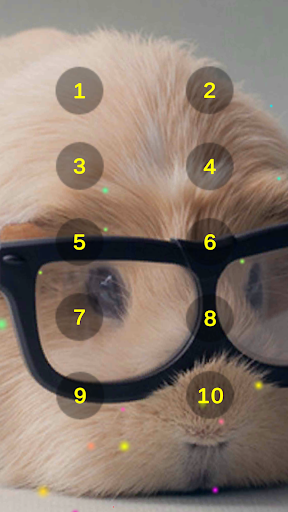 Guinea Pig Sounds Screen 2