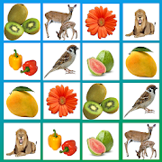 Top 49 Puzzle Apps Like Picture Match. Memory. Concentration game. - Best Alternatives