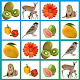 Picture Match. Memory. Concentration game. Download on Windows