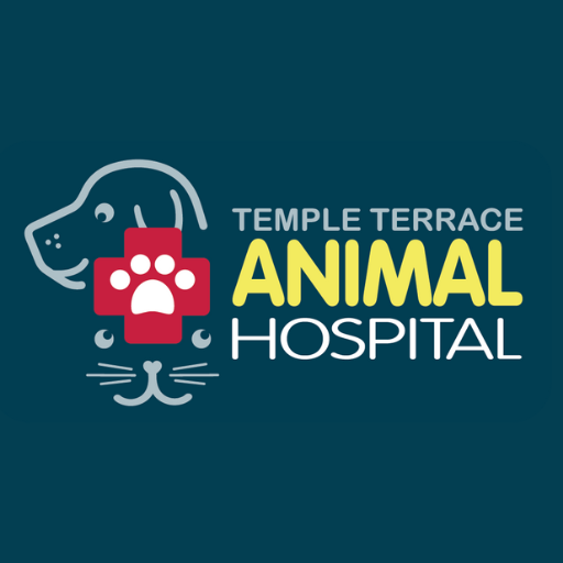 TTAH Tampa Bay logo