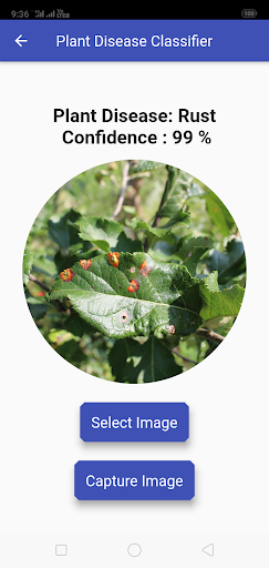 Plant Disease Classifier