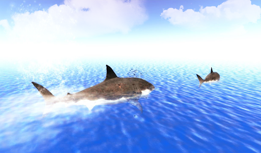 The Shark apktram screenshots 13