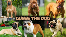 Dog quiz gameのおすすめ画像2
