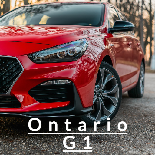 G1 LICENSE TEST-in Punjabi too logo