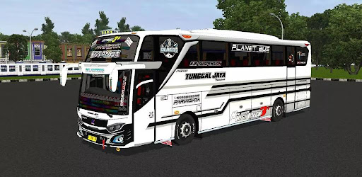 Bus Telolet Basuri Kids Panda