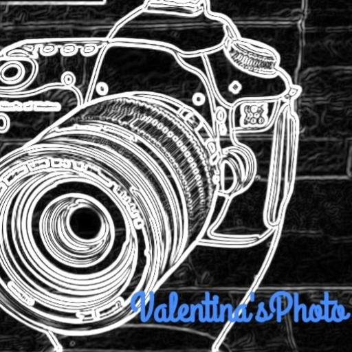 Valentina’s Photo logo