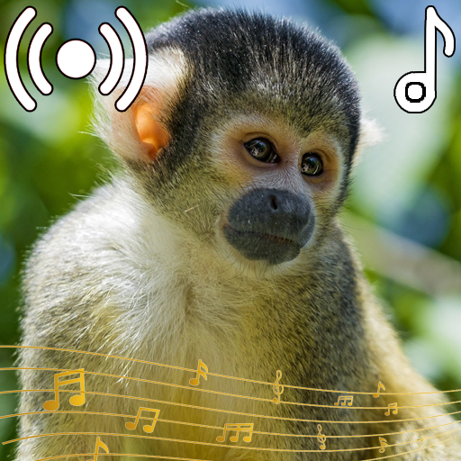 Monkey Sounds Ringtone logo