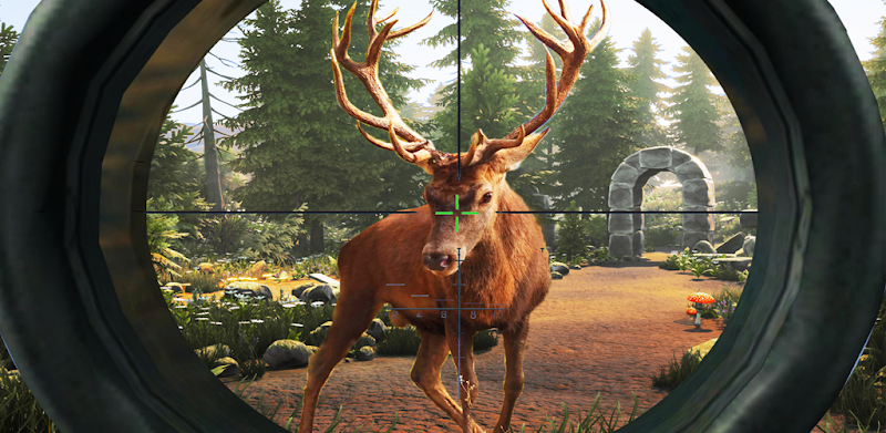Deer Hunting Cover Hunter
