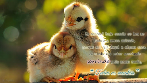 Good Morning Afternoon  Goodni