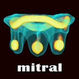 ViV Mitral icon