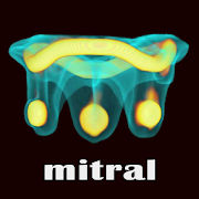 ViV Mitral 1.0 Icon