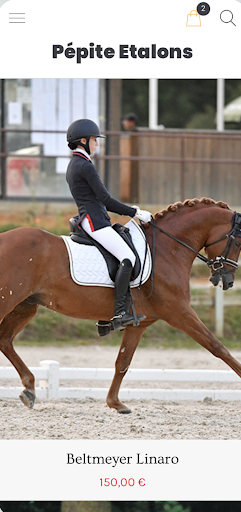 Pepite Etalons Screen 3