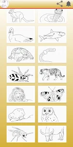 Guía de cómo dibujar animales
