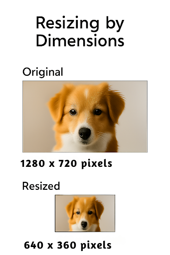 Image Compressor