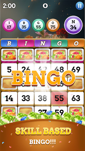 Bingo For Cash : Big Win screenshot