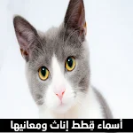 Cover Image of Baixar أسماء قِطط إناث ومعانيها  APK