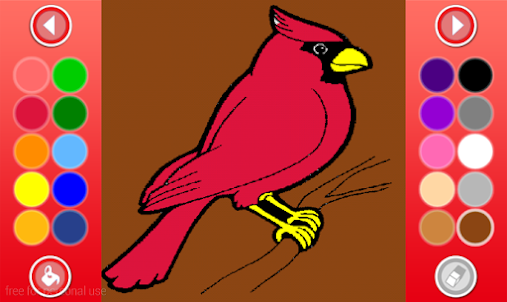 Birds coloring pages