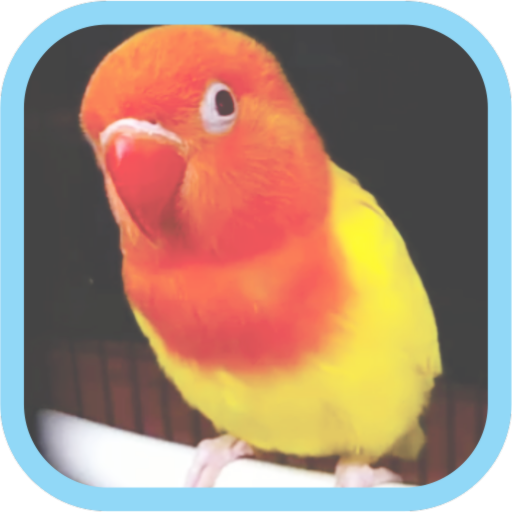 Masteran Kicau Burung LoveBird 5.0 Icon