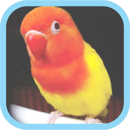 Masteran Kicau Burung LoveBird logo