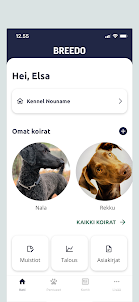 Breedo app, all things canine