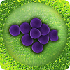 Bacteria icon