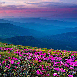 Imagem do ícone Mountain Flower Live Wallpaper