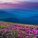 Mountain Flower Live Wallpaper