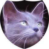 Silver cat Live Wallpaper icon
