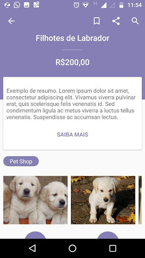 Guia Anápolis na Net Screen 2