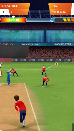 Cricket Star Pro - Screenshot 4