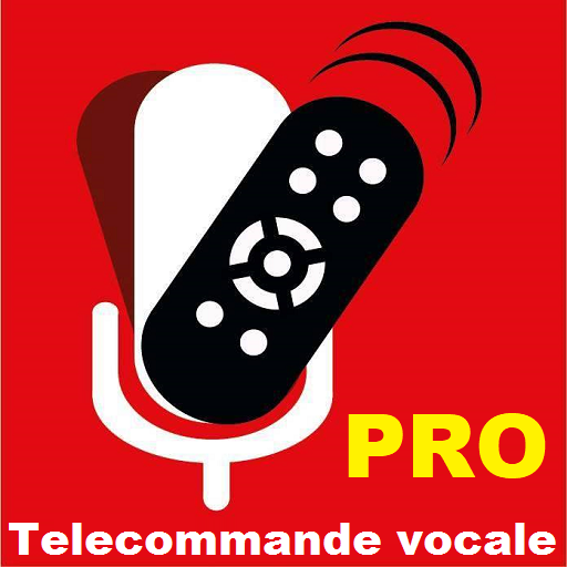 Télécommande Vocale PRO SFR Fr