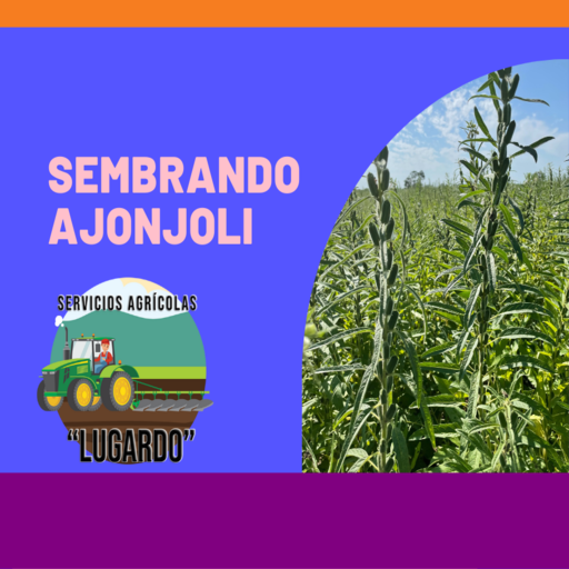 Sembrando Ajonjolí logo