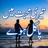 Teri mohabbat mein pagal huy Urdu novel icon