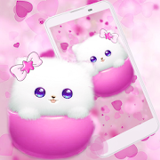 Kitty Theme Cup Cat Wallpaper  Icon