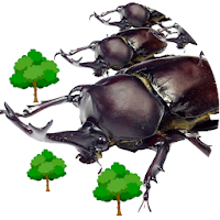 Attack on  Beetle