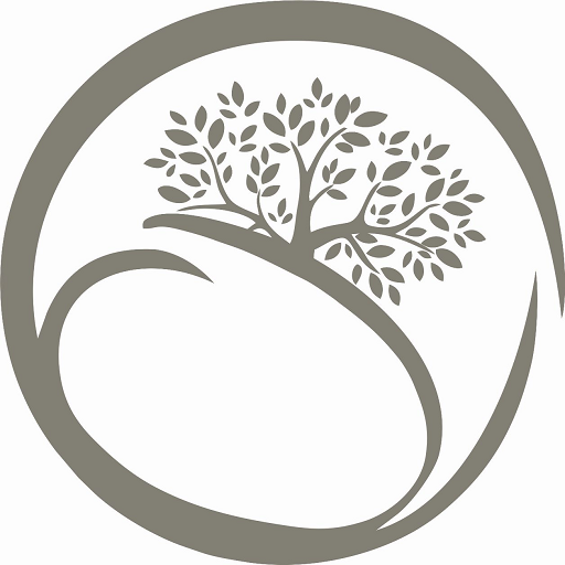 SHRIYANS WEALTH logo