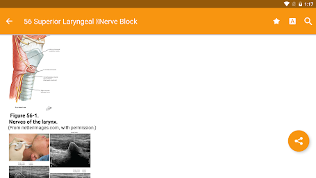 Atlas of Ultrasound Anesthesia