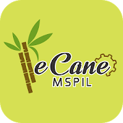 MSPIL E-CANE