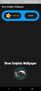 River Dolphin Wallpaper