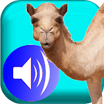 Cover Image of Tải xuống Proverbes en tamajeq audio vo2 1.0 APK