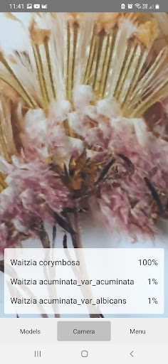 Android application Horama ID screenshort